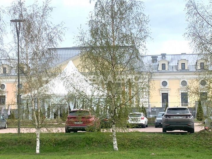 Участок 13,1 сот. (СНТ, ДНП)