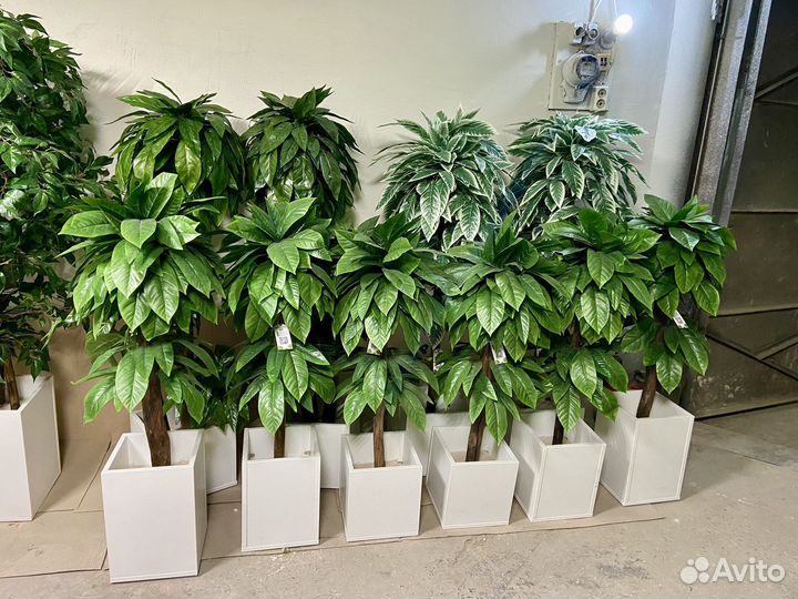 Искусственное дерево / Декоративное озеленение