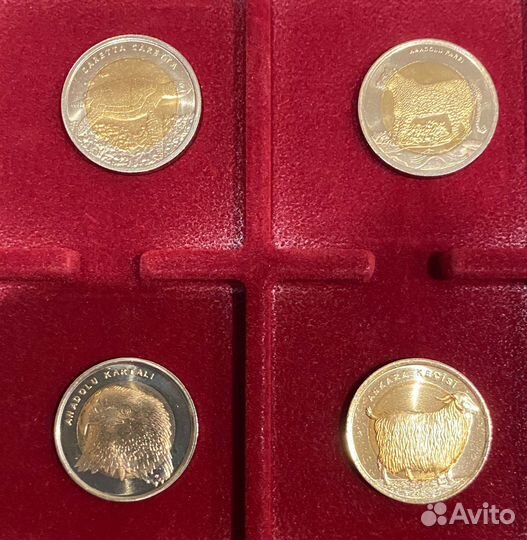 Монеты Турции 1 лира 2009-2015 Красная Книга, unc