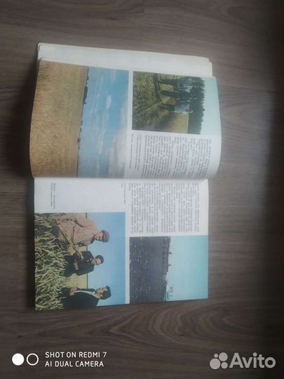 Книга календарь 1981 года с иллюстрациями