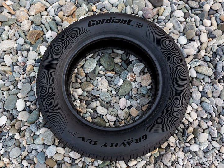 Cordiant Gravity 205/55 R16