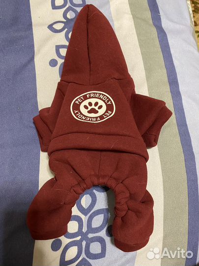 Одежда для собак