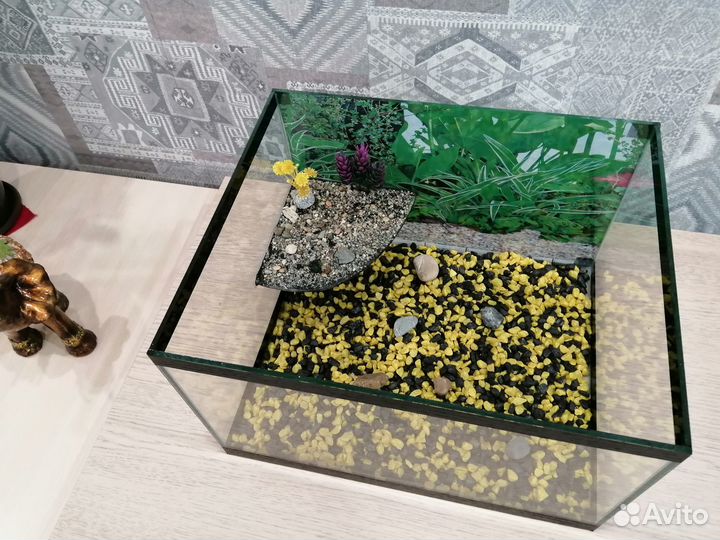 Аквариум черепашник