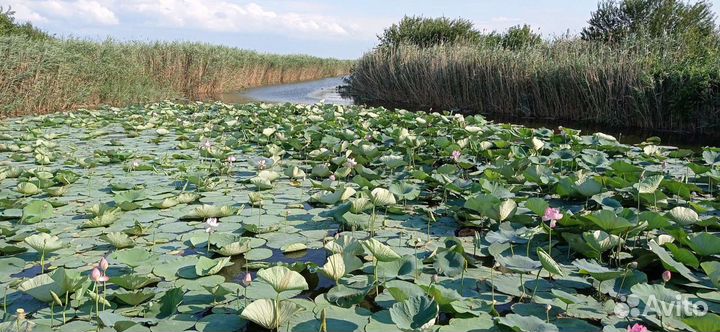 Рыбалка водные прогулки