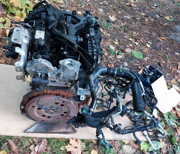 Двигатель Ford Ecosport 1.0 USA