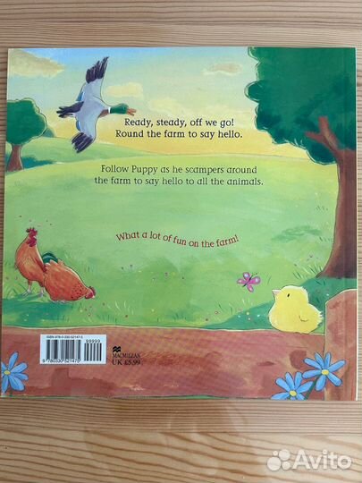 Say hello to the animals