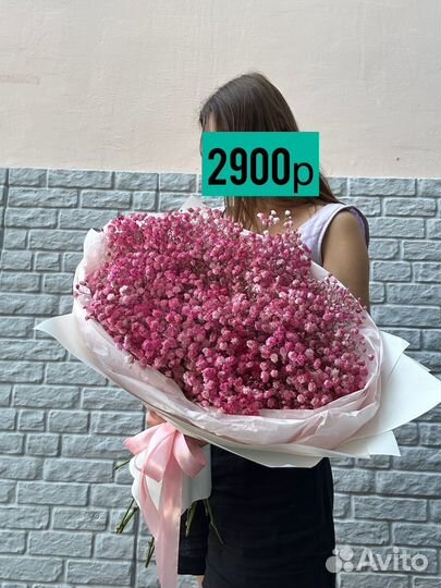 Радужная гипсофила