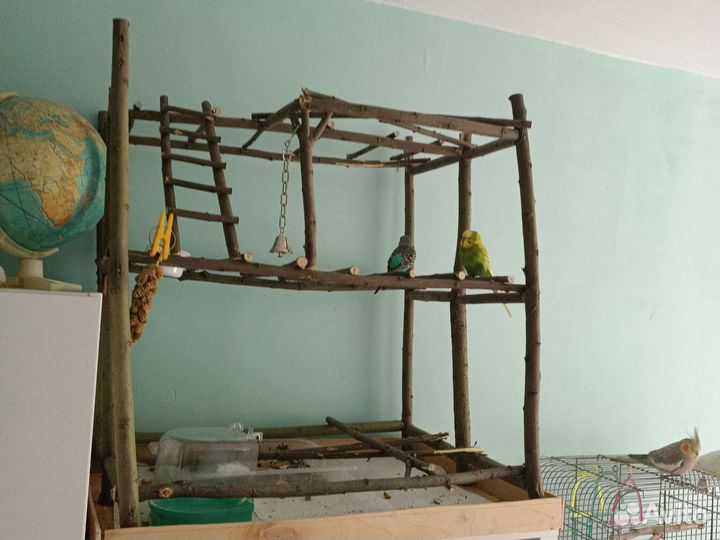 Игровая площадка для попугаев