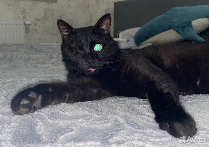 Шанс для инвалида