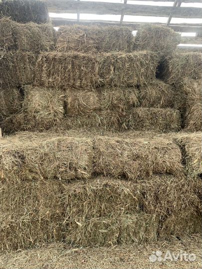 Сено в тюках