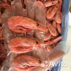 Креветка Северная