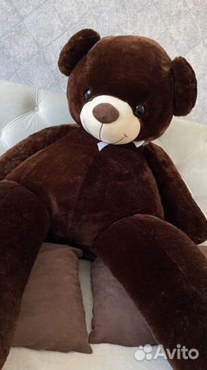 Плюшевый медведь