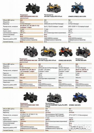 Квадроцикл aodes Pathcross ATV650L MUD PRO EPS