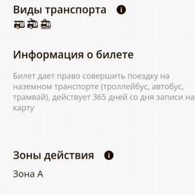 Проездной 365 тат