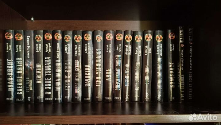 Серия Сталкер