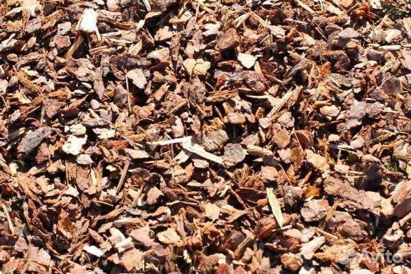 Мульча кора
