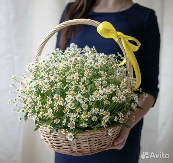 Букеты ромашек