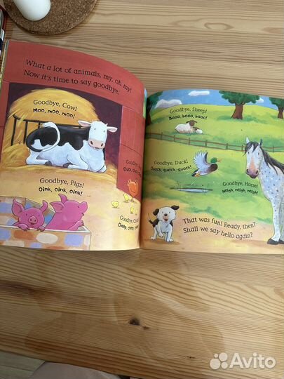 Say hello to the animals