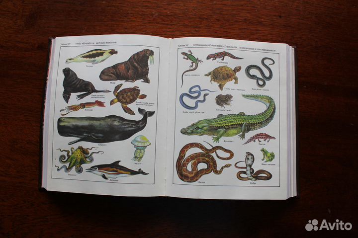 Продаю Чувашско-русский словарь