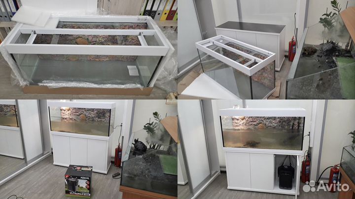 Обслуживание аквариумов в офисы, школы, квартиры