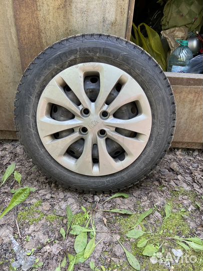 Nordman WR 185/65 R15 92T