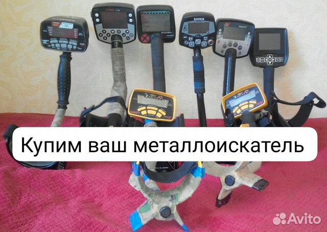 Результаты по запросу «Аренда трассового металлоискателя» в Москве