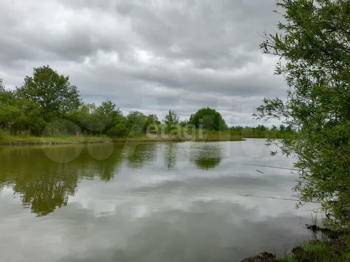 Участок 4,87 га (ИЖС)