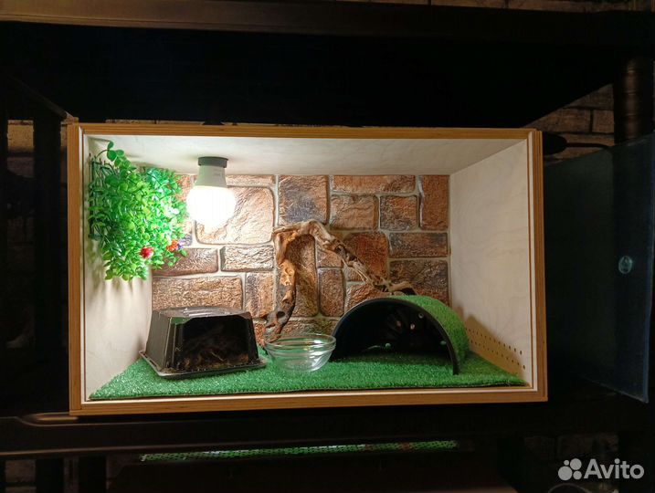 Террариум для эублефара