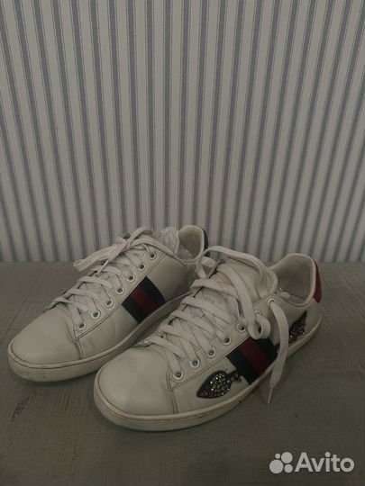 Кеды gucci оригинал