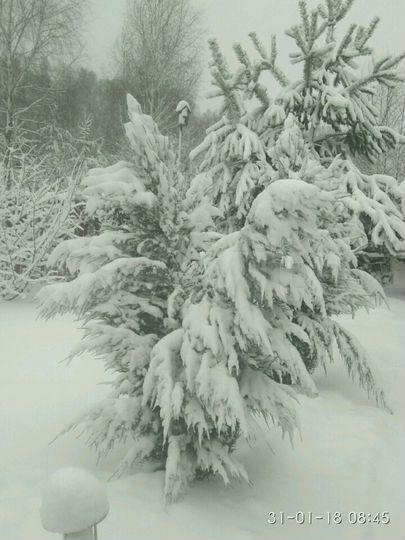 Участок 14 сот. (ИЖС)