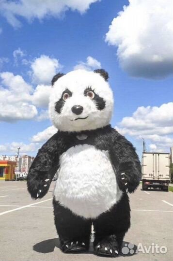 Поздравление панды, поздравление мишки,дед мороза