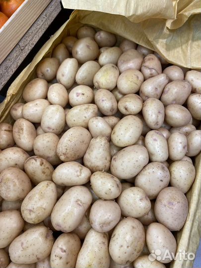 Доставка овощей и фруктов