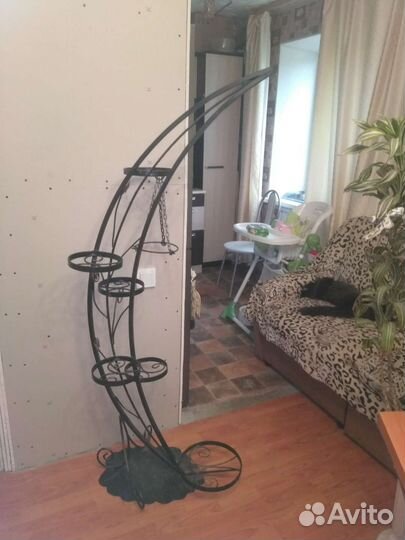 Цветочница полумесяц