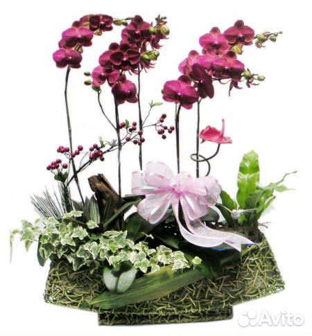 Кора для орхидеи