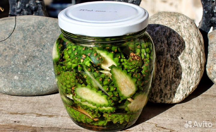 Настой ка из сосновых шишек