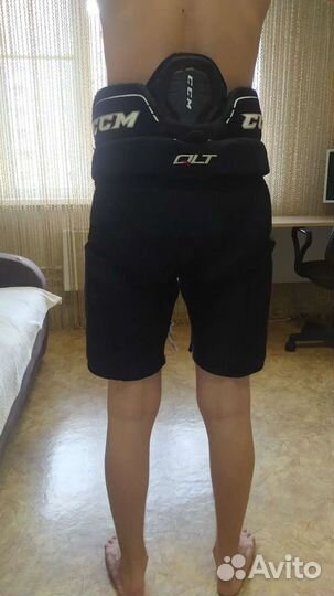 Хоккейные шорты ccm