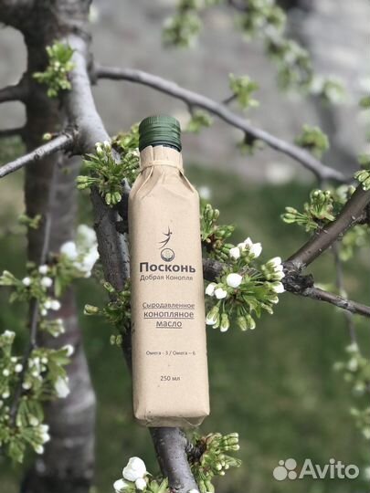 Конопляное сыродавленное масло из Ядер