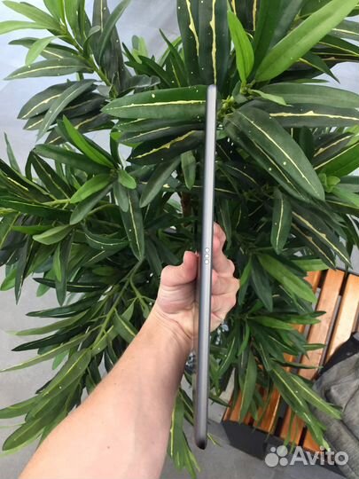 iPad 7 поколения