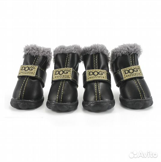 Обувь для собак. Обувь для кошек