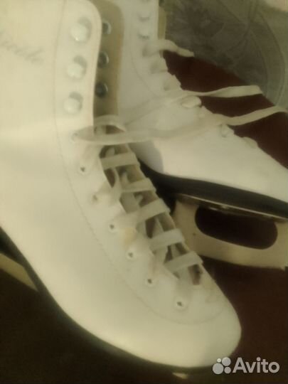 Nicole женские Фигурные коньки 38 25 см