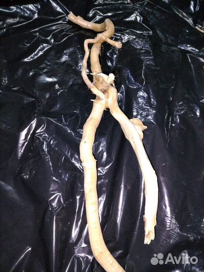 Декор для аквариума