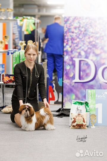 Услуги хендлера