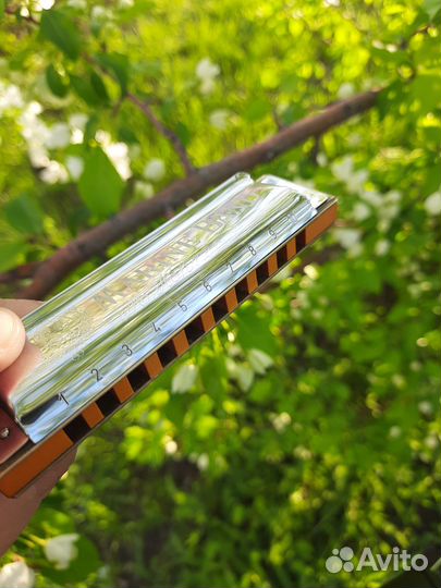 Губная гармошка Hohner