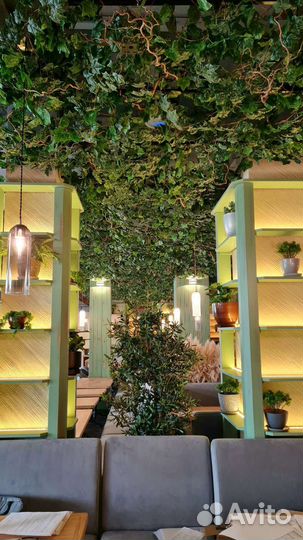 Искусственное озеленение, фитодизайн