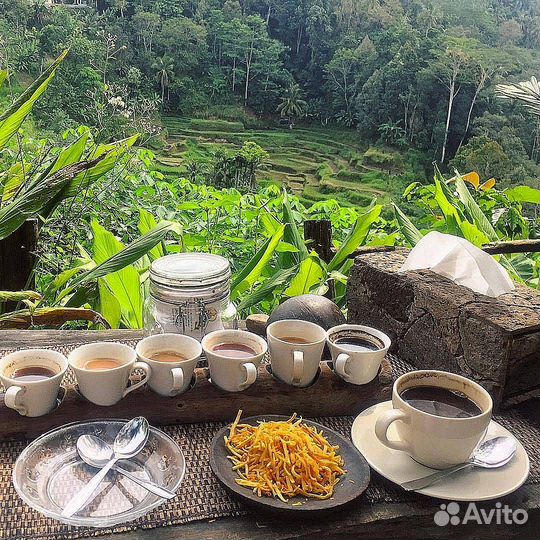 Готовый бизнес. Кофейня. Секрет Бали
