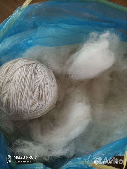 У кого есть собачий пух, спряду. Обращайтесь