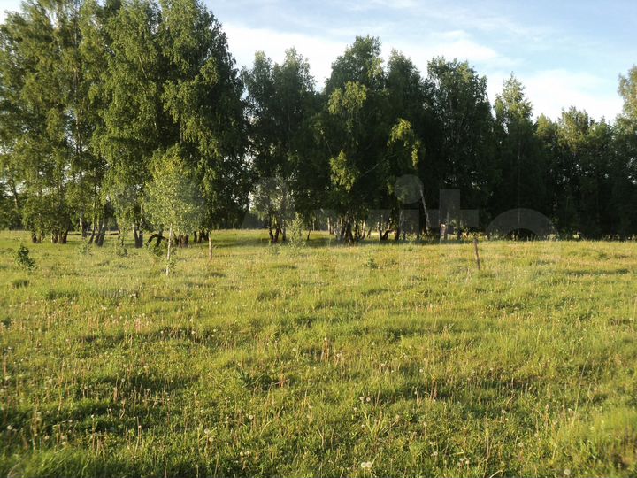 Участок 10 сот. (ИЖС)