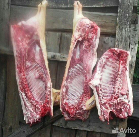 Мясо вьетнамской свиньи