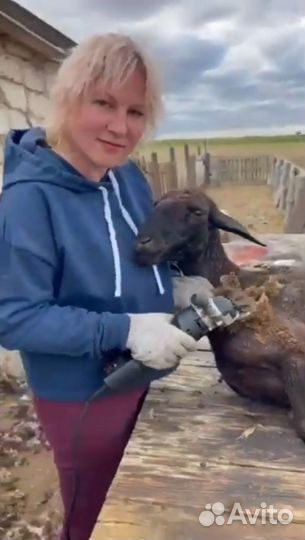 Ищу инвестора для бизнеса