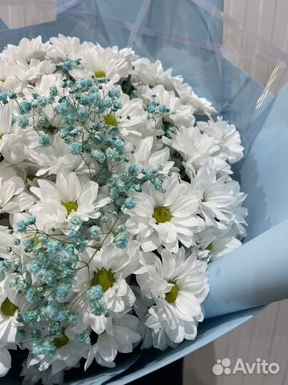 Букет цветов из хризантем и гипсофил, букет гигант